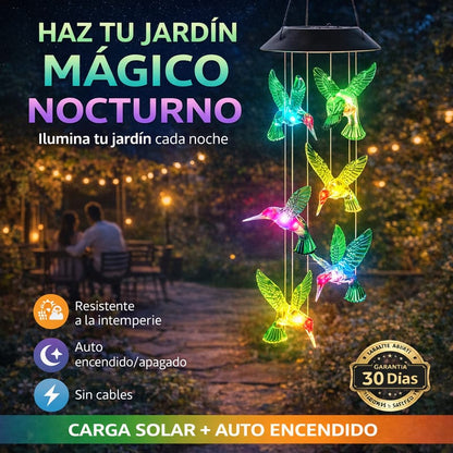 Colibris Solares Decorativos
