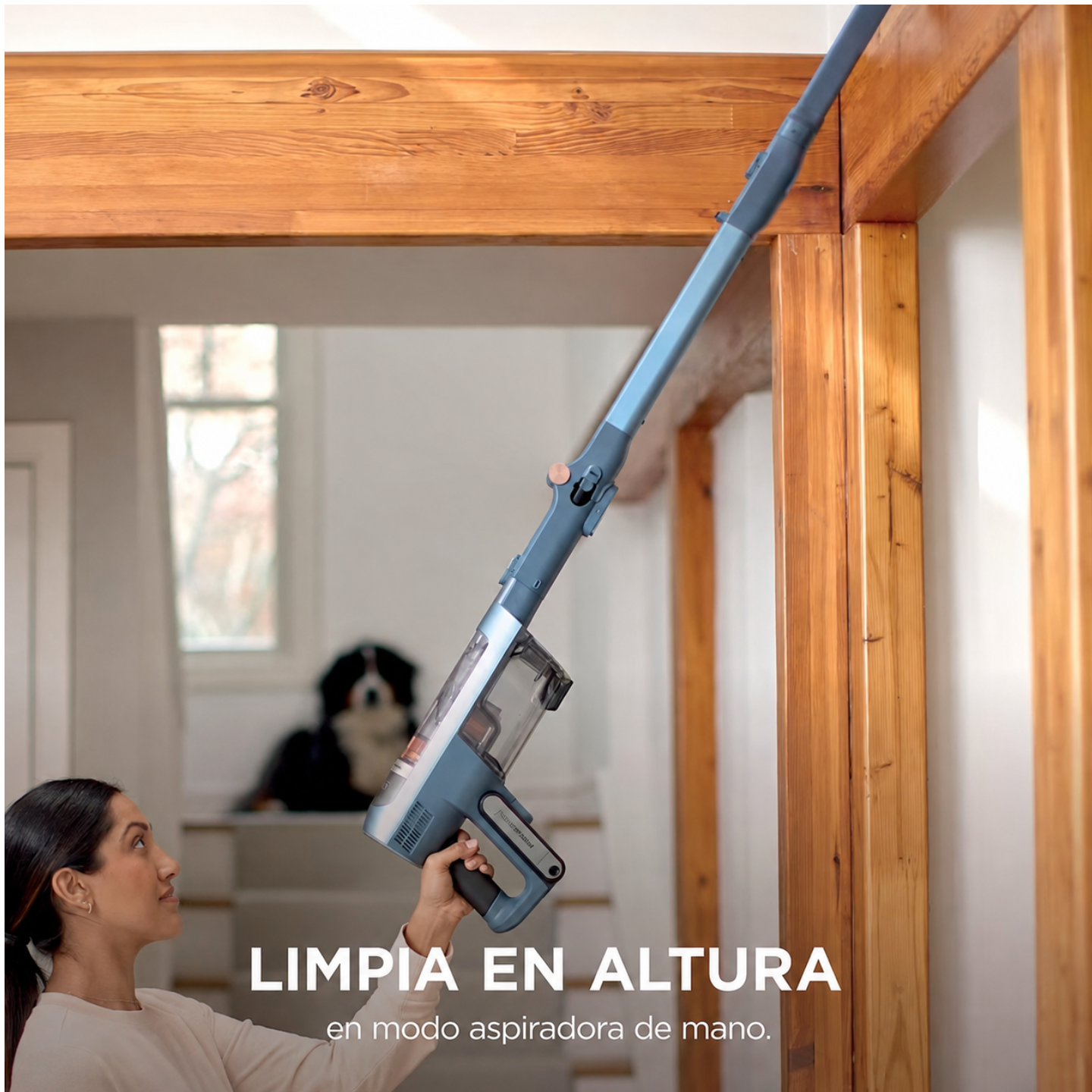 Aspiradora Eden®